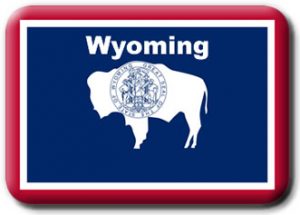 Wyoming State Flag